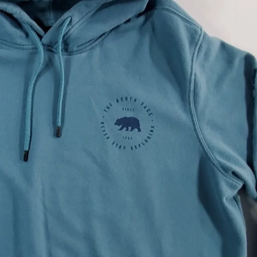 The‎ North Face Mens Large Blue Pullover Hoodie Logo Sleeve Never Stop Exploring